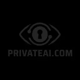 Private AI Icon