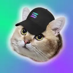 CatSolHat Icon