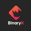 BinaryX Developer