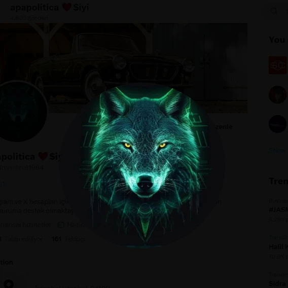 mavericwolf avatar