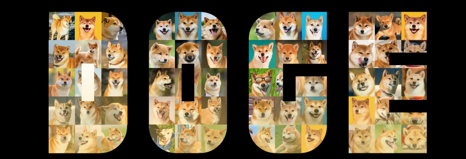 Dogecoin Banner