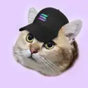 CatSolHat Developer