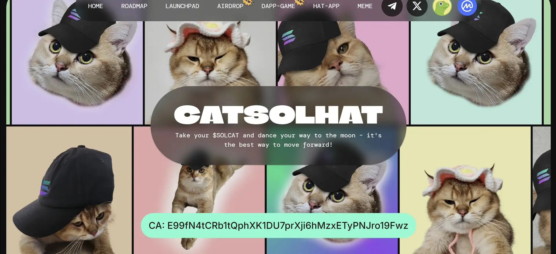 CatSolHat