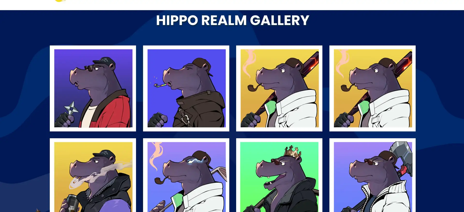 Hippo Swap Review