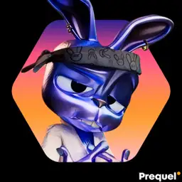 lucassplin avatar