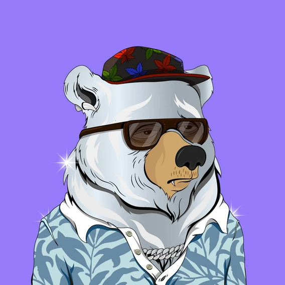 Furry Bear avatar
