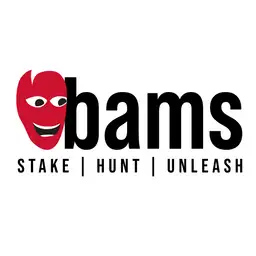 BAMS Icon