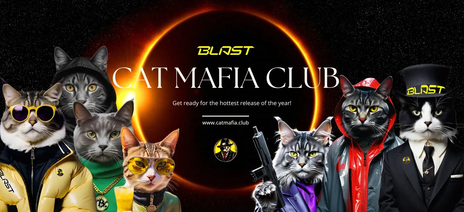 Cat Mafia Club Review