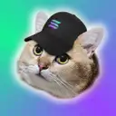 CatSolHat Icon