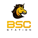 BSCS Developer
