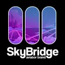 SkyBridge Icon